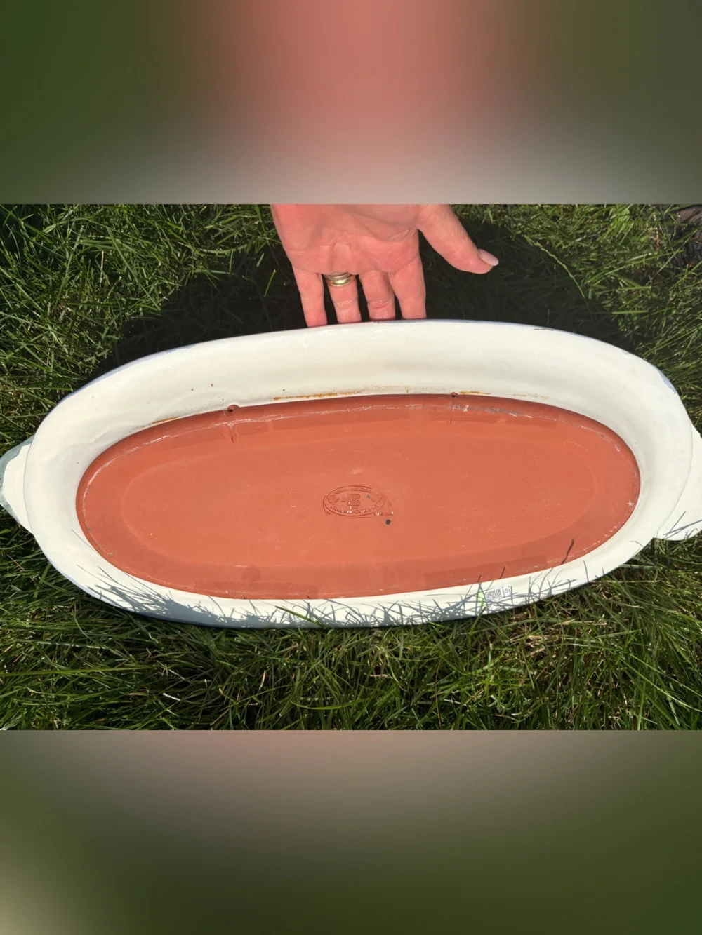 RARE HUGE 🐠 MacKenzie-Childs Fish Platter 24” Yellow, Pink, Aqua, Cream READ